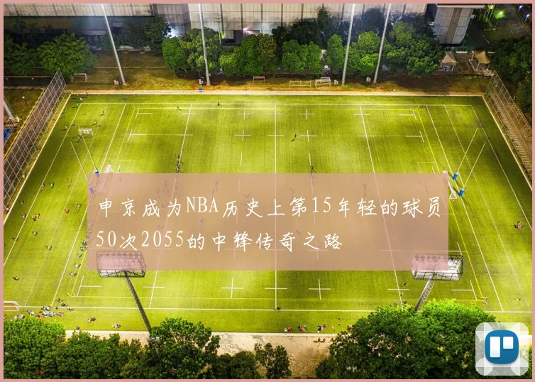 申京成为NBA历史上第15年轻的球员50次2055的中锋传奇之路
