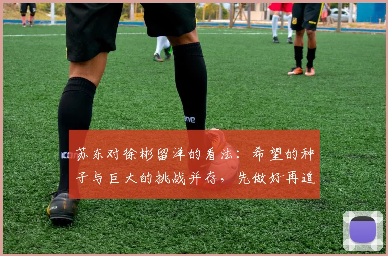 苏东对徐彬留洋的看法：希望的种子与巨大的挑战并存，先做好再追求完美