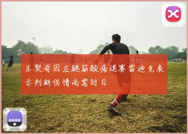 东契奇因左腿筋酸痛退赛雷迪克表示判断伤情尚需时日